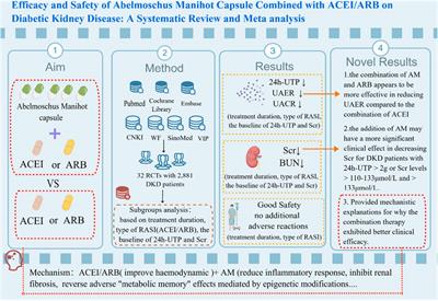 Efficacy and safety of Abelmoschus manihot capsule combined with ACEI/ARB on diabetic kidney disease: a systematic review and meta analysis